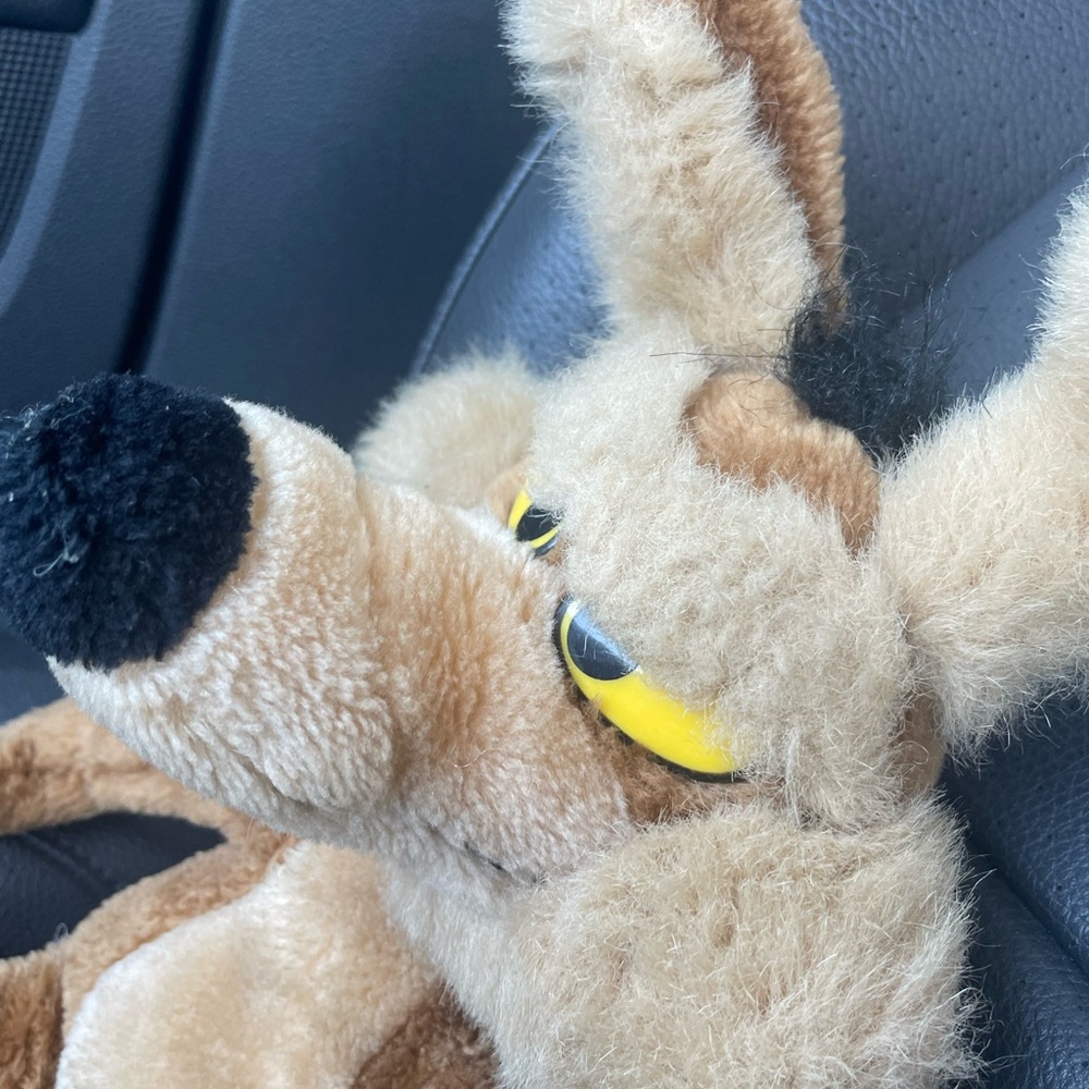 Vintage Wile E Coyote plush 1993 24K Brand Warner Bros. - Picture 4 of 14